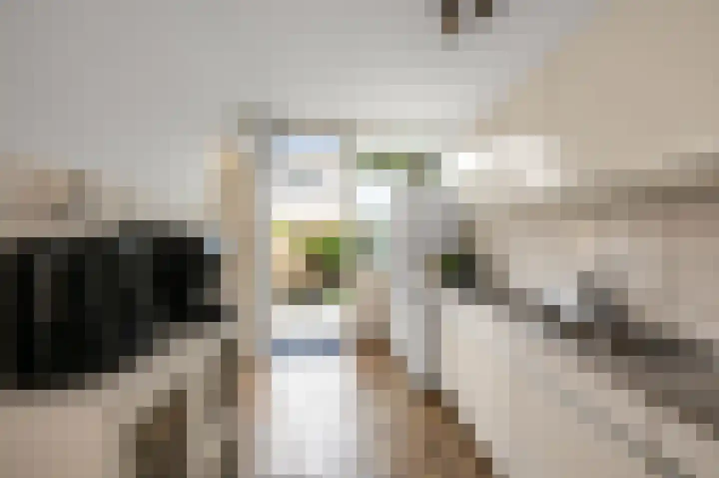 Sternstraat 17 Wormer thumbnail 9