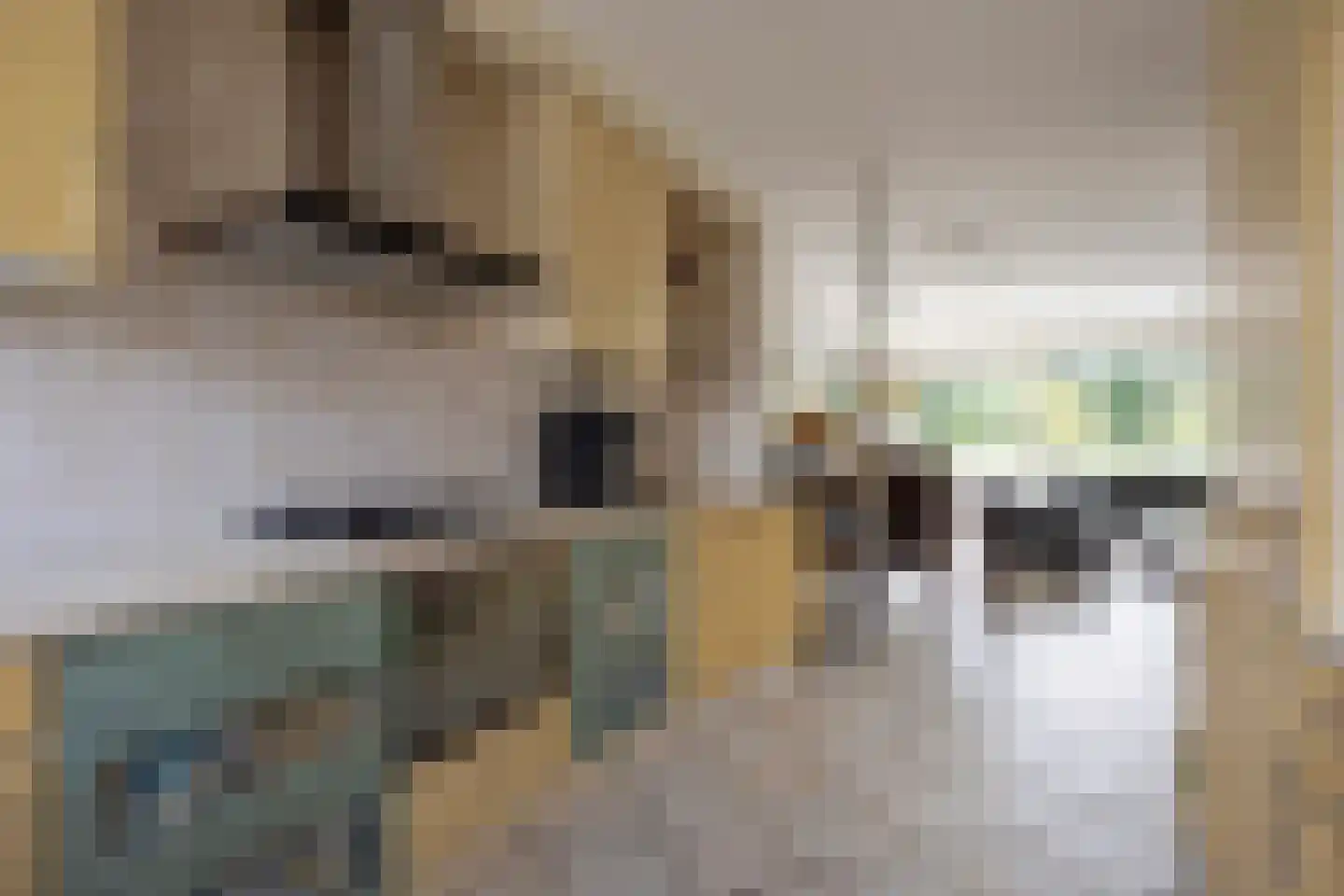 Sternstraat 26 Purmerend thumbnail 21