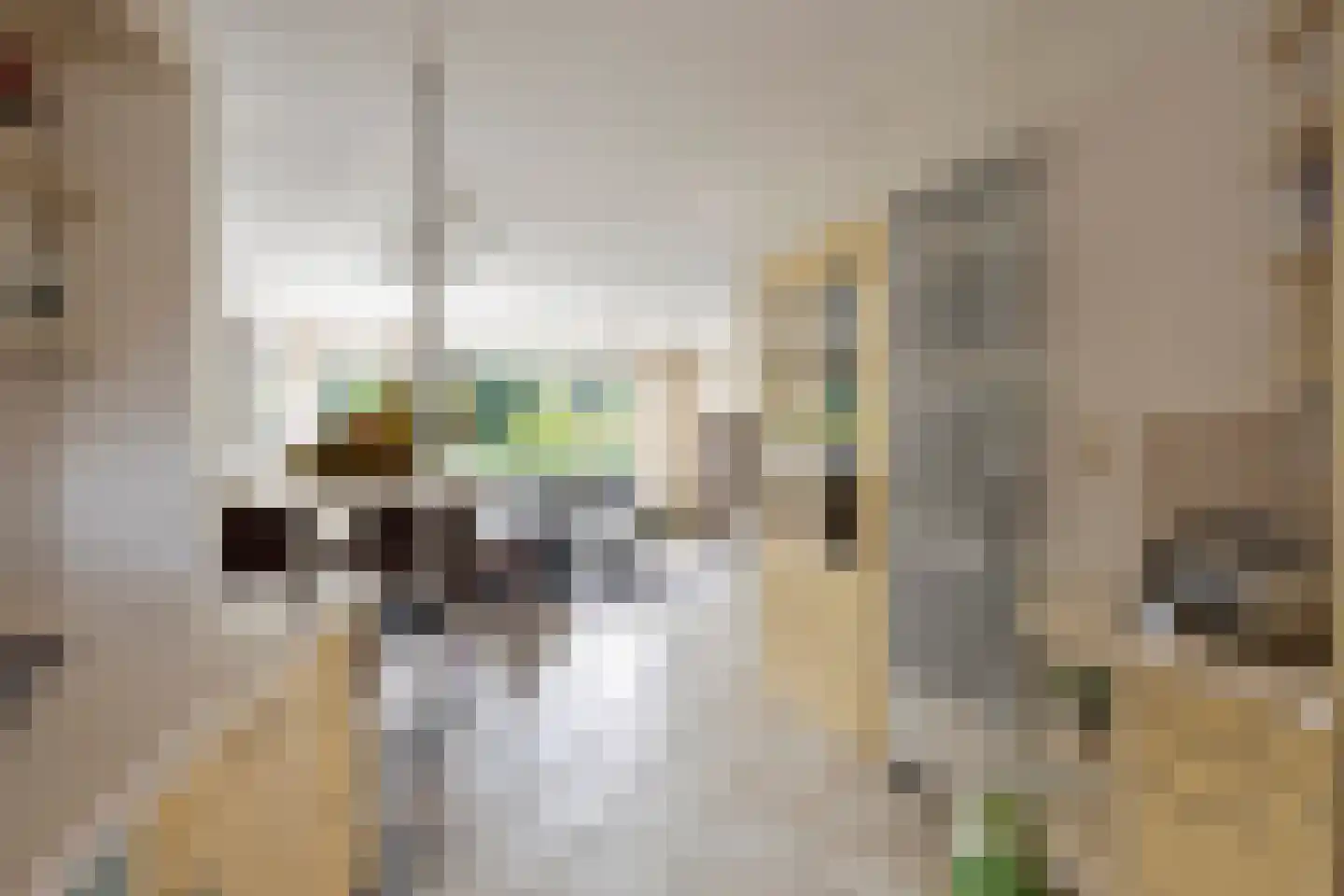 Sternstraat 26 Purmerend thumbnail 22