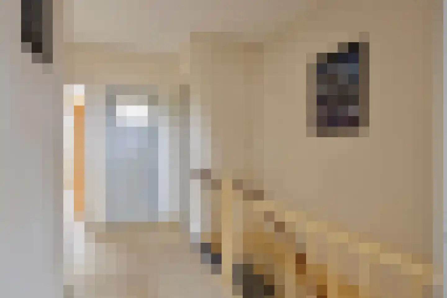 Sternstraat 26 Purmerend thumbnail 25