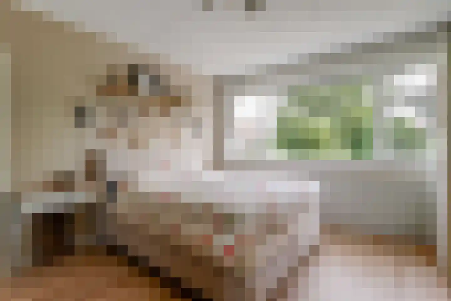 Sternstraat 37 Purmerend thumbnail 30
