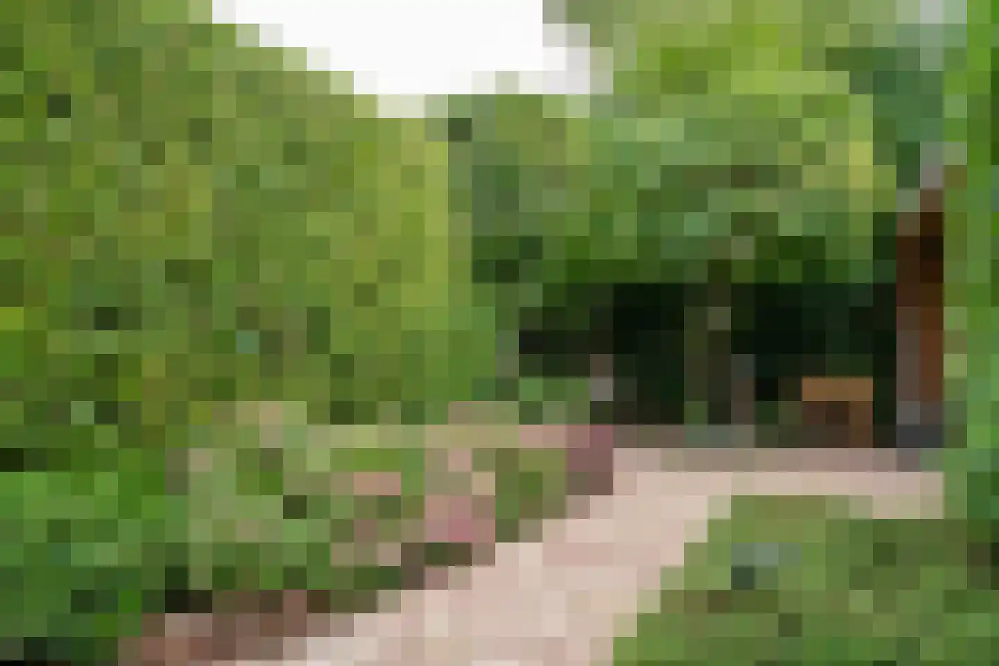 Sternstraat 37 Purmerend thumbnail 47