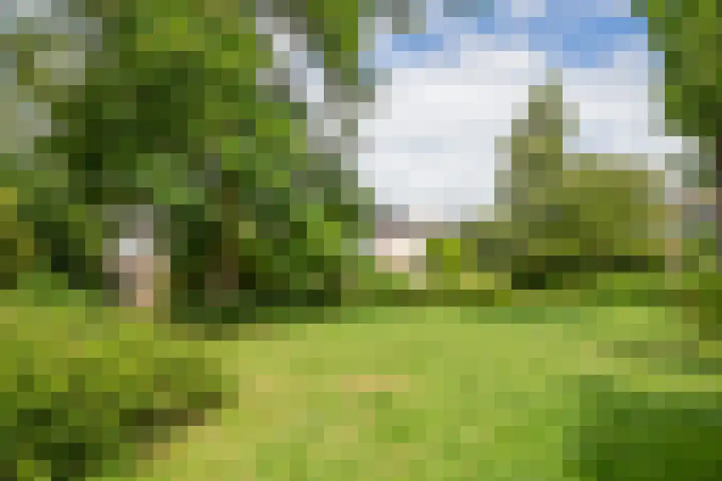 Sternstraat 37 Purmerend thumbnail 55