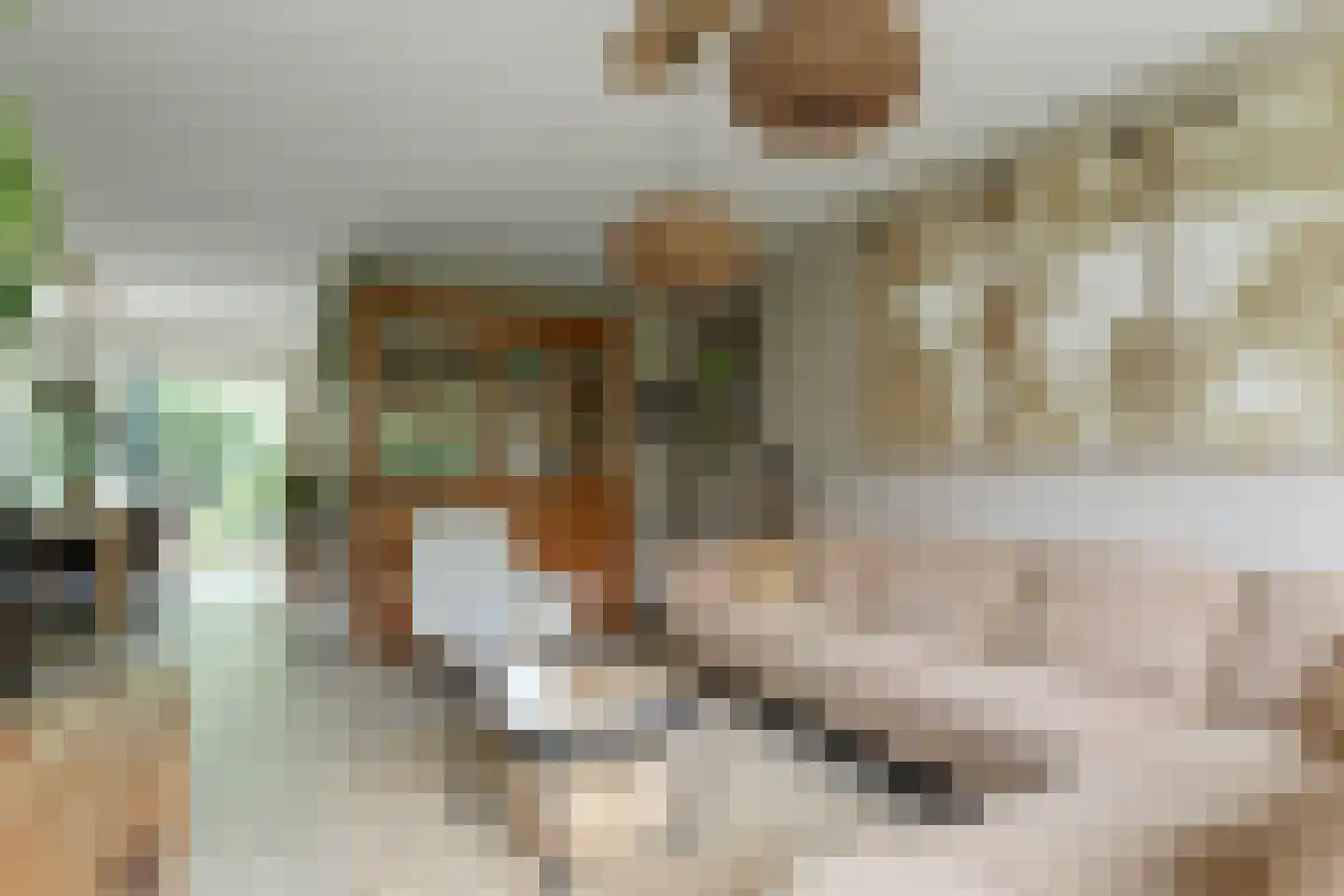 Sternstraat 37 Purmerend thumbnail 6