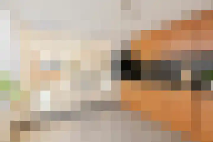 Sternstraat 4 Petten thumbnail 10