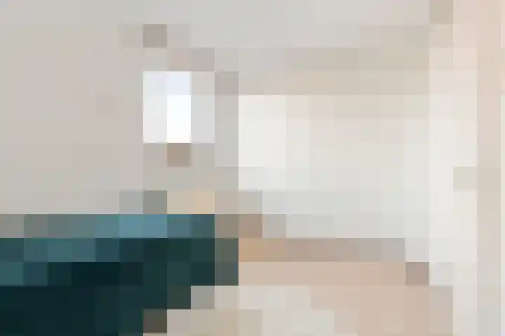 Sternstraat 4 Petten thumbnail 17