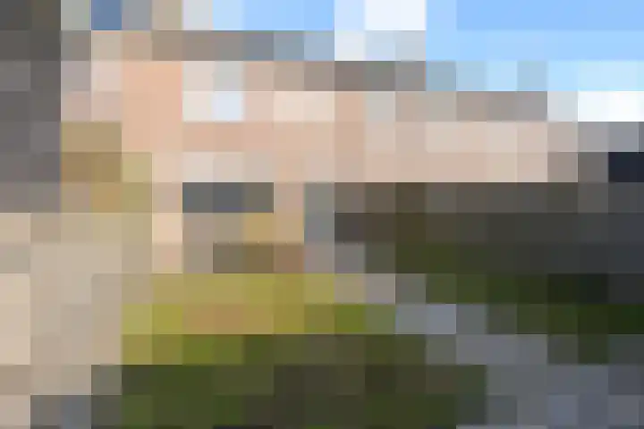 Sternstraat 4 Petten thumbnail 24