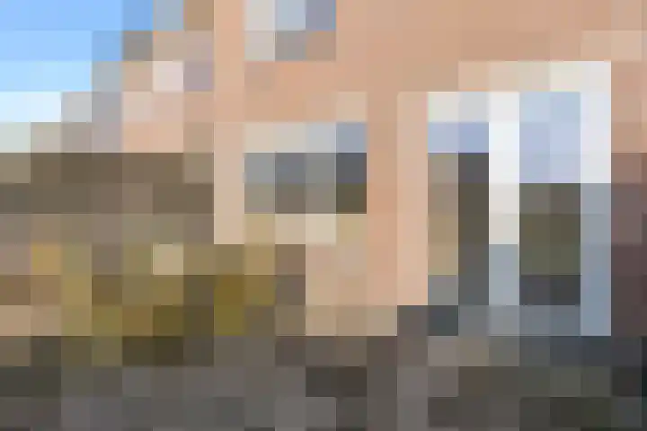 Sternstraat 4 Petten thumbnail 25