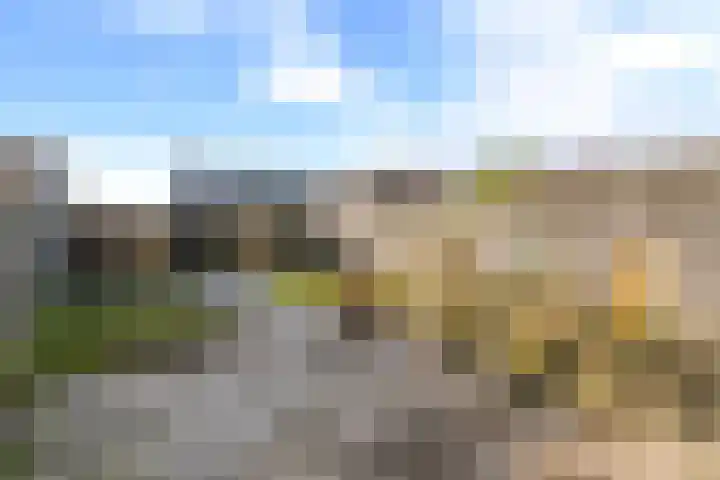 Sternstraat 4 Petten thumbnail 26