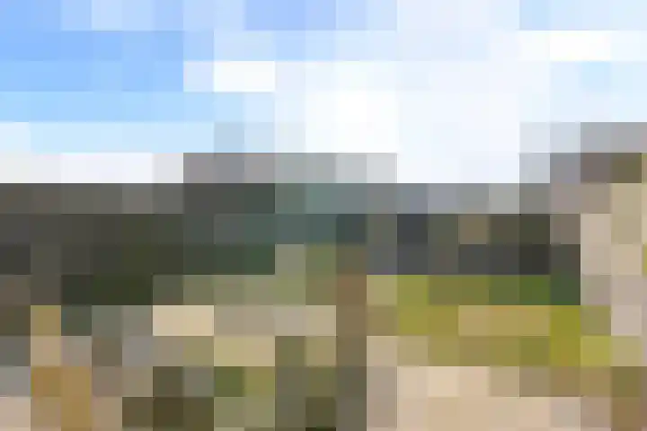 Sternstraat 4 Petten thumbnail 27