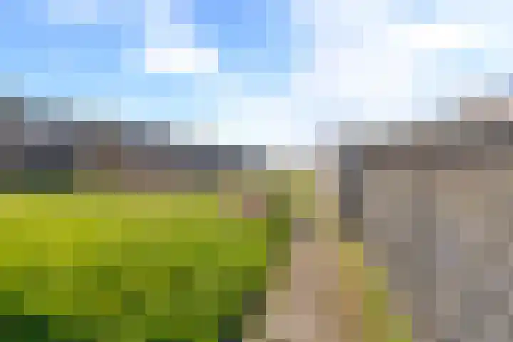 Sternstraat 4 Petten thumbnail 28