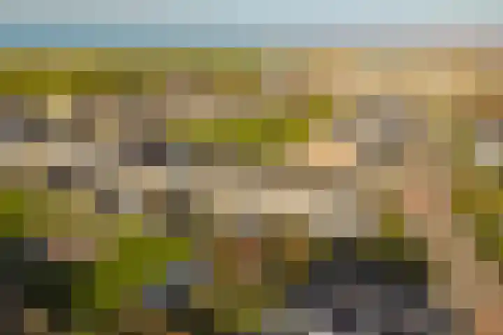 Sternstraat 4 Petten thumbnail 30