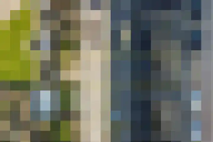 Sternstraat 4 Petten thumbnail 31