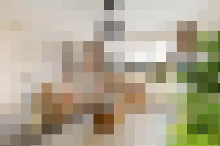 Sternstraat 4 Petten thumbnail 4