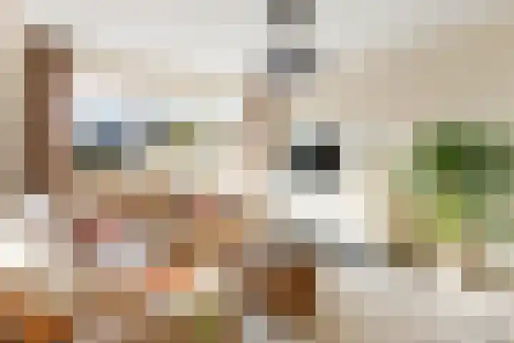 Sternstraat 4 Petten thumbnail 5