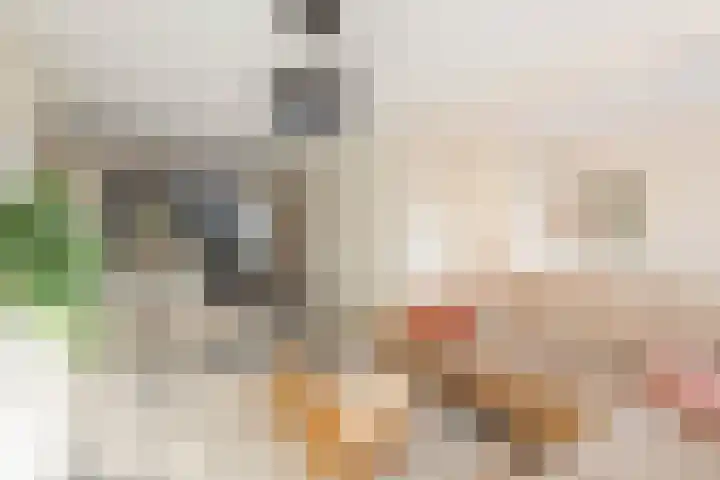 Sternstraat 4 Petten thumbnail 7