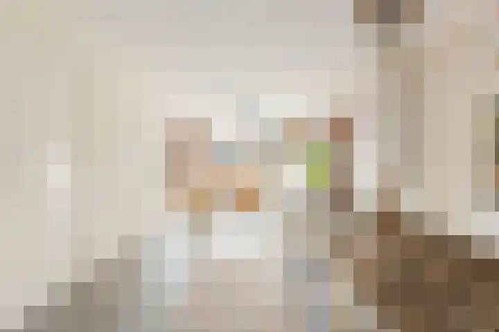Sternstraat 4 Petten thumbnail 8