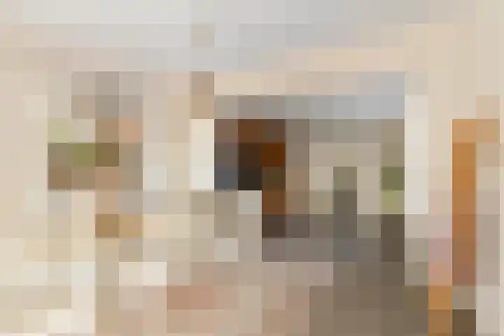 Sternstraat 4 Petten thumbnail 9