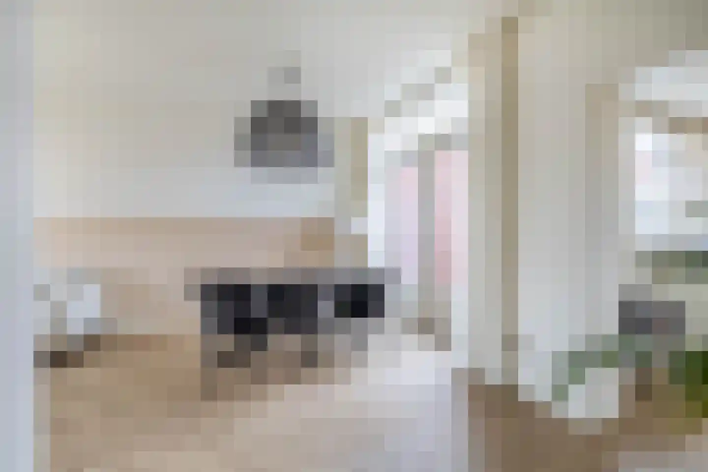 Sternstraat 46 Den Helder thumbnail 4