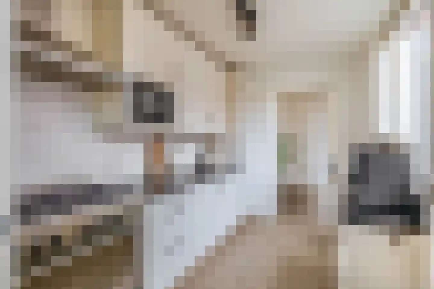 Sternstraat 46 Den Helder thumbnail 8