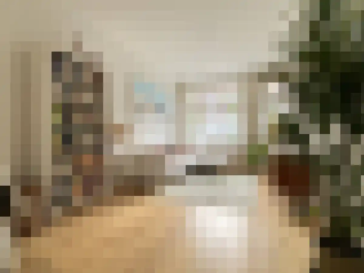 Sternstraat 5 Utrecht thumbnail 6