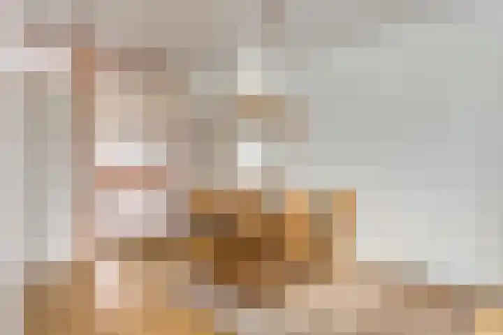 Sternstraat 6 Purmerend thumbnail 11