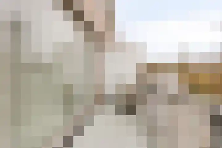 Sternstraat 6 Purmerend thumbnail 16