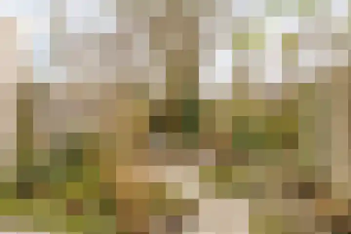 Sternstraat 6 Purmerend thumbnail 30
