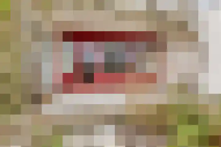 Sternstraat 6 Purmerend thumbnail 32