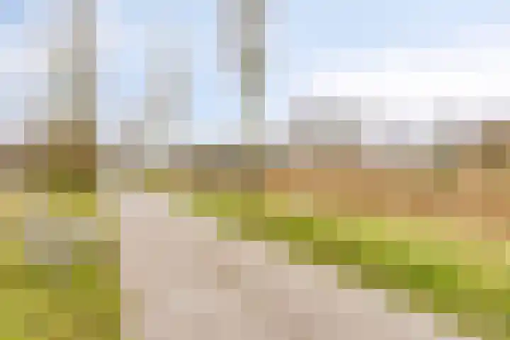 Sternstraat 6 Purmerend thumbnail 33