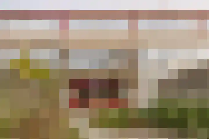 Sternstraat 6 Purmerend thumbnail 5