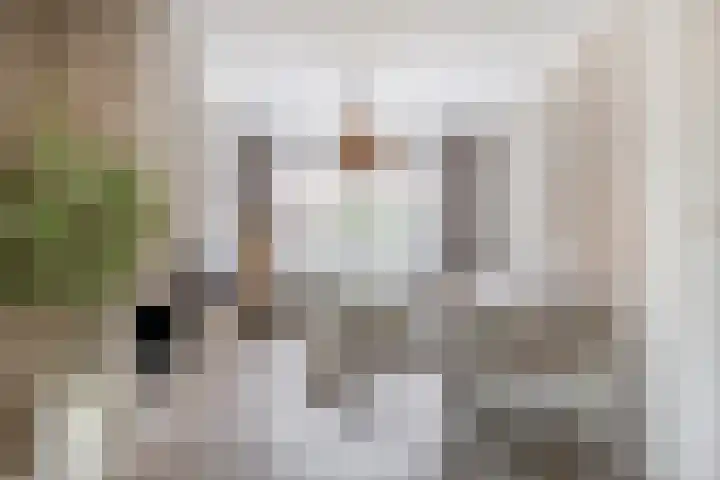 Sternstraat 8 Den Helder thumbnail 5