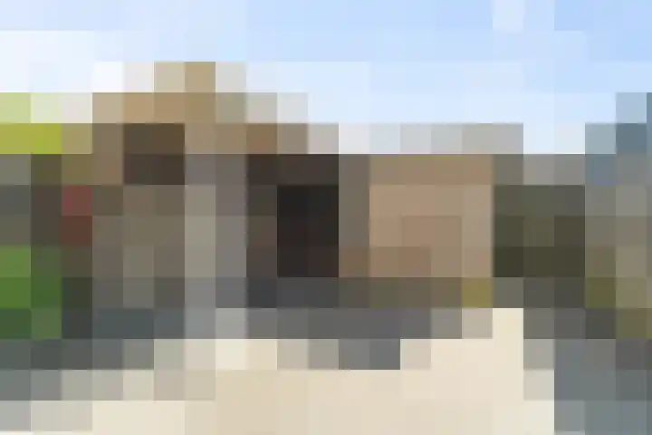 Sternstraat 8 Petten thumbnail 28