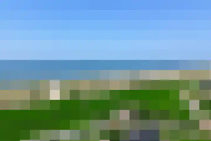 Sternstraat 8 Petten thumbnail 5