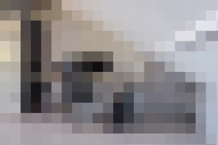 Sternstraat 9 Purmerend thumbnail 29