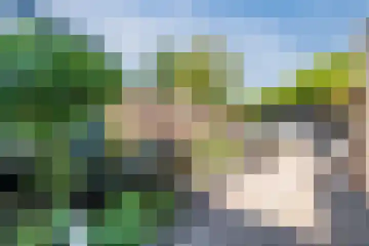 Sternstraat 9 Purmerend thumbnail 32