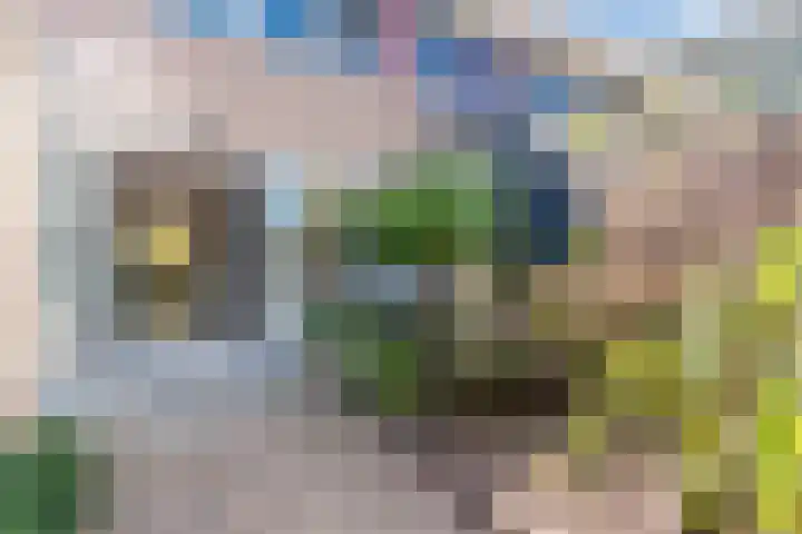 Sternstraat 9 Purmerend thumbnail 34