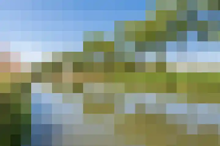Sternstraat 9 Purmerend thumbnail 37