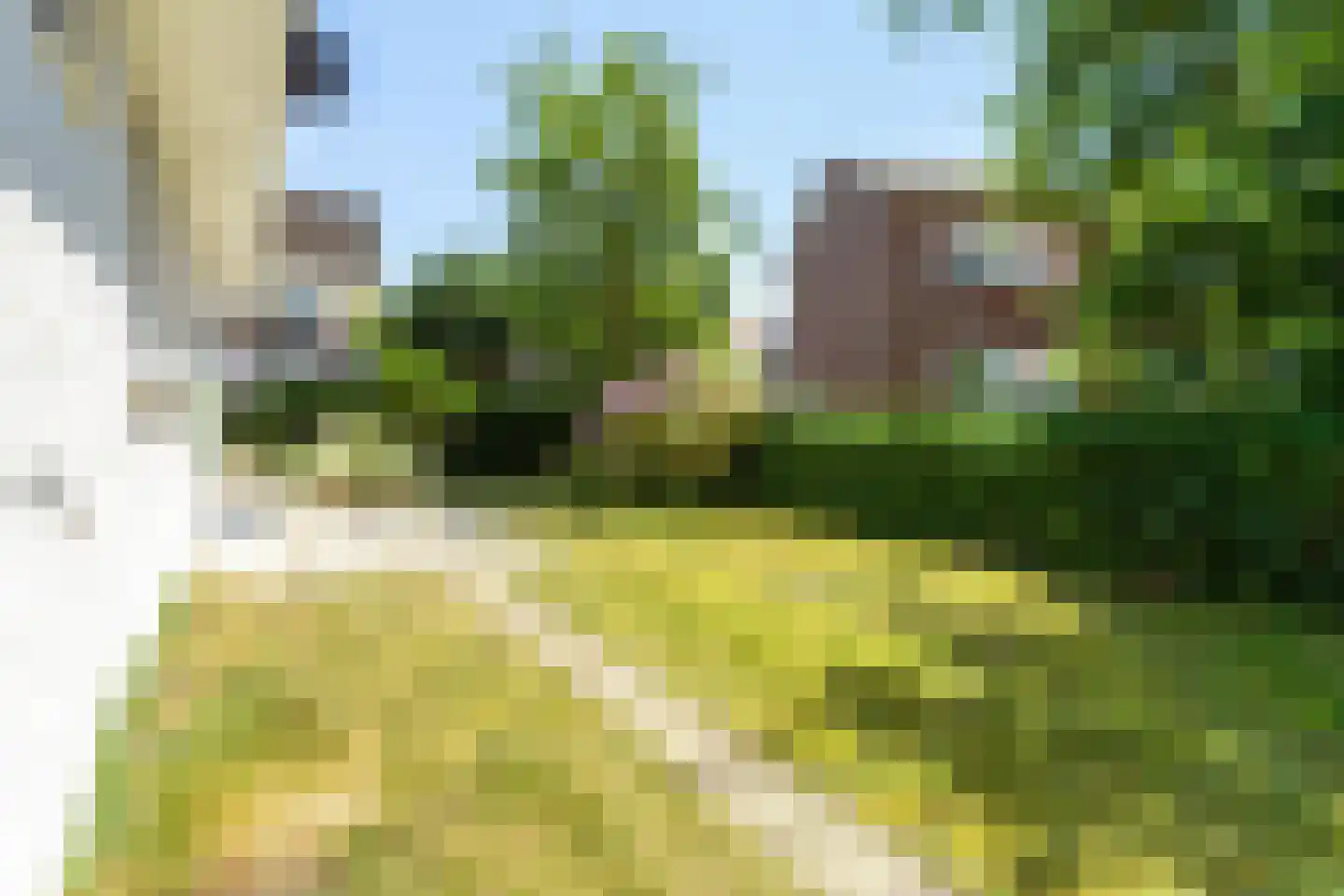 Sterntjeslaan 6 A Cadzand thumbnail 10