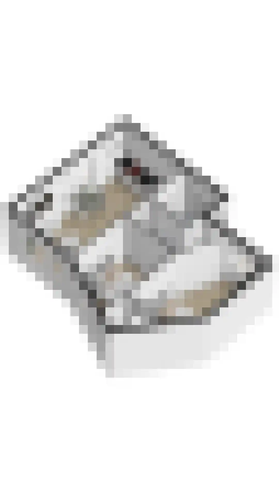 Sterntjeslaan 6 A Cadzand thumbnail 23