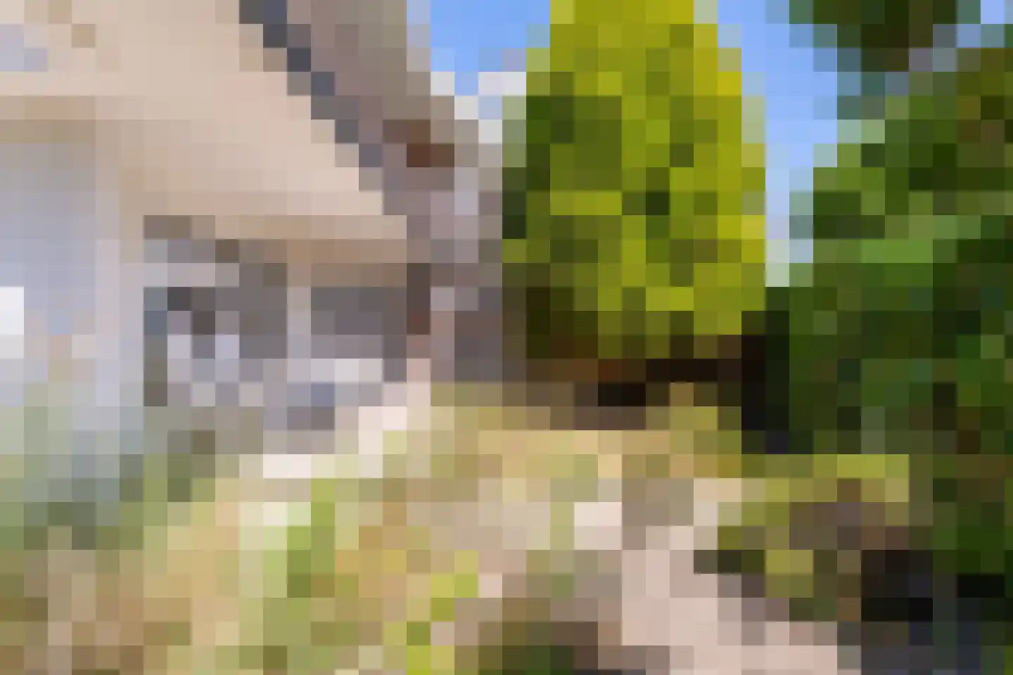 Sterntjeslaan 6 A Cadzand thumbnail 9