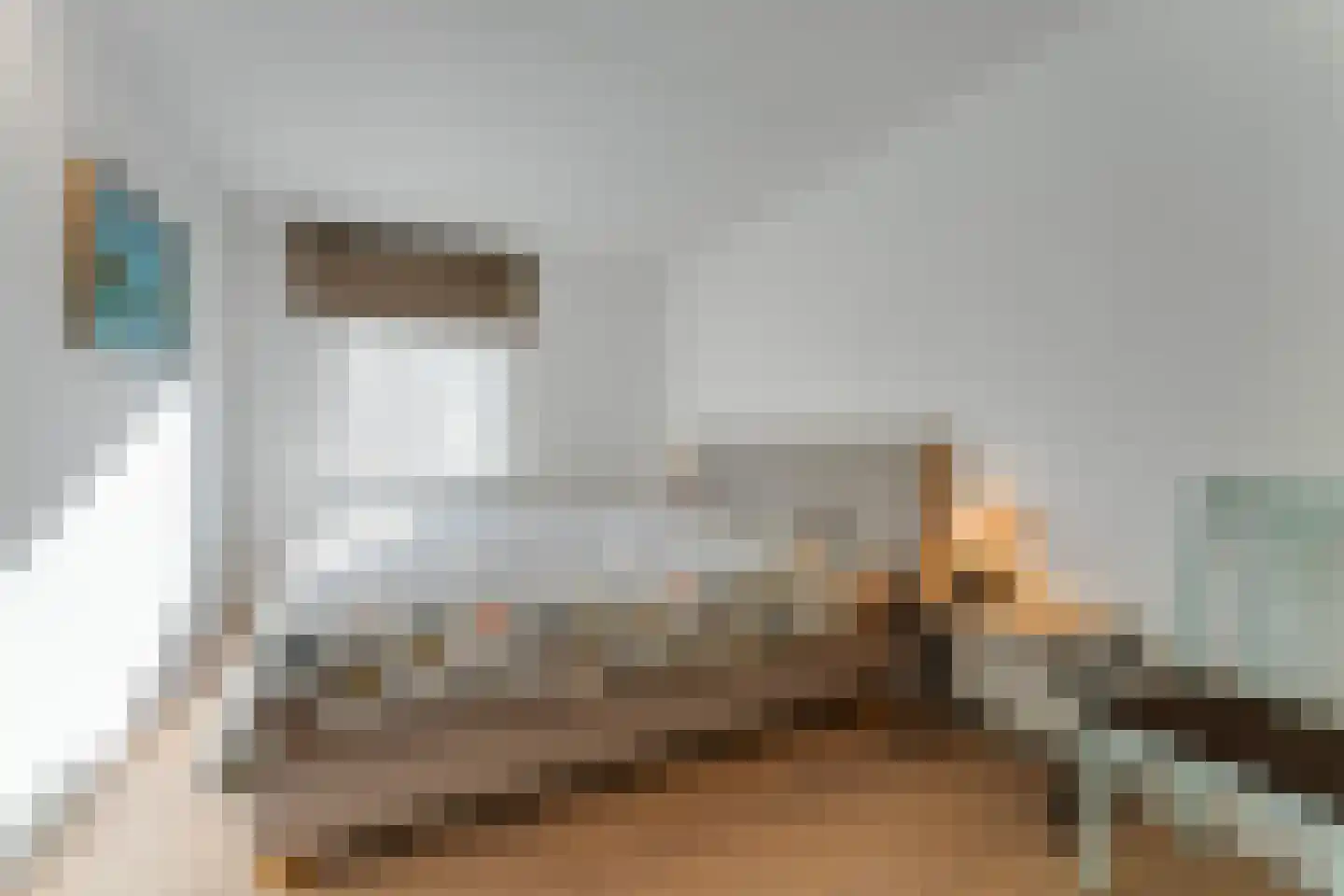 Sterntjeslaan 7 A Cadzand thumbnail 12