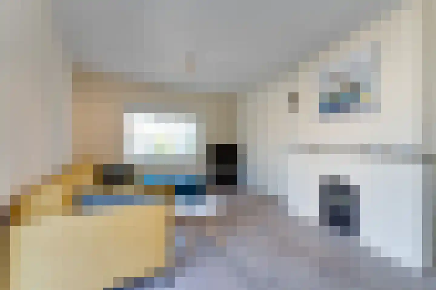 Sterntjeslaan 7 A Cadzand thumbnail 8