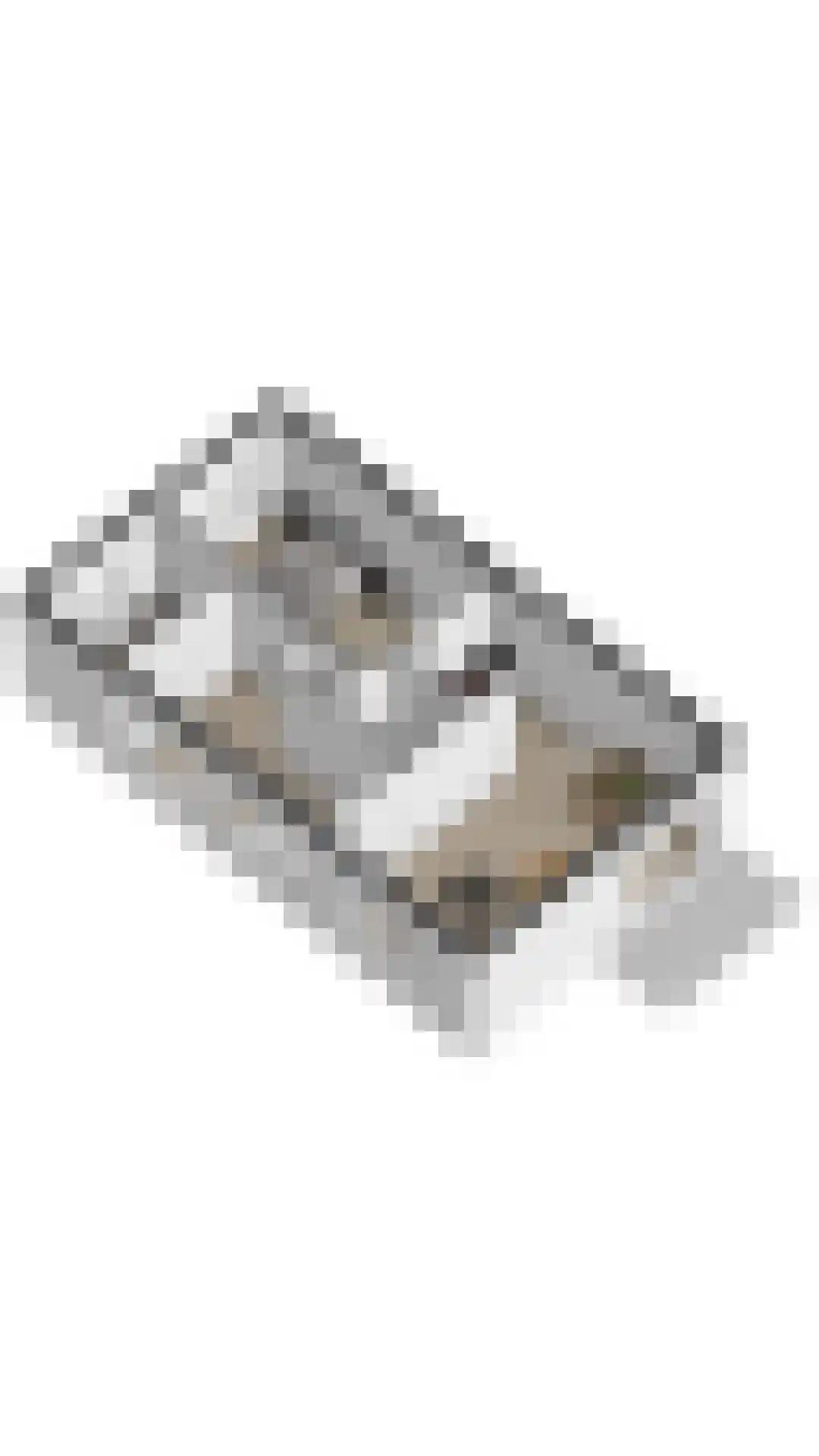 Sterntjeslaan 7 D Cadzand thumbnail 22