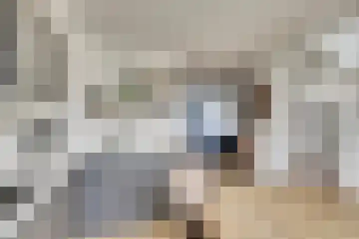 Sternweide 6 Houten thumbnail 10