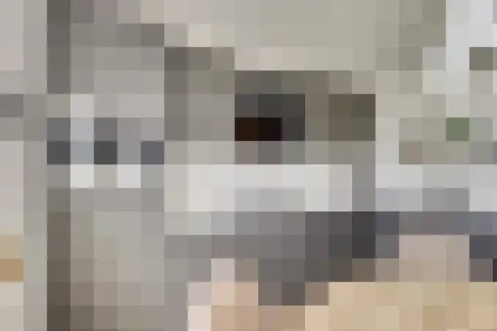 Sternweide 6 Houten thumbnail 11