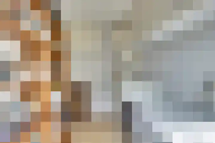 Sternweide 6 Houten thumbnail 14