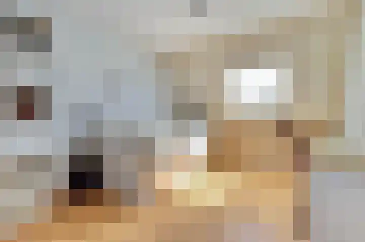 Sternweide 6 Houten thumbnail 16