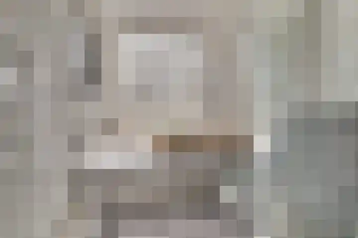 Sternweide 6 Houten thumbnail 22