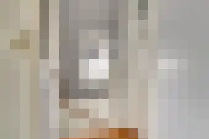 Sternweide 6 Houten thumbnail 24
